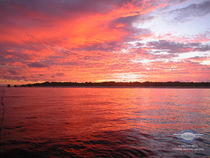 Nikumaroro Screen Saver: Sunsets of Nikumaroro